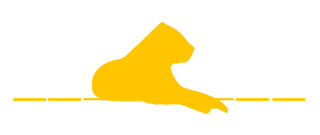 Lyonnaise-du-parquet(logo-lyon)